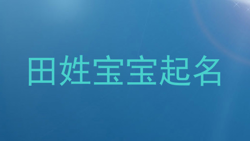 田姓宝宝起名
