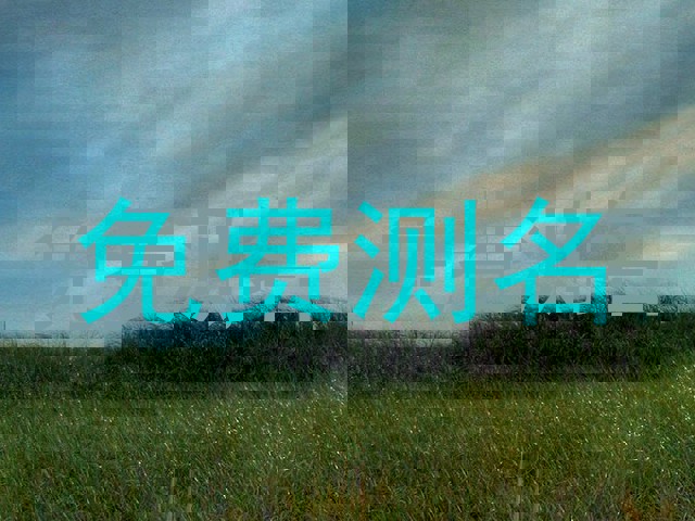 免费测名