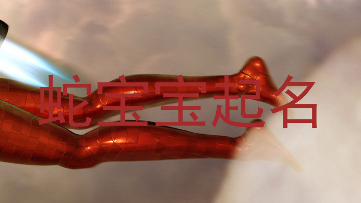 蛇宝宝起名