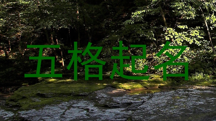 五格起名软件