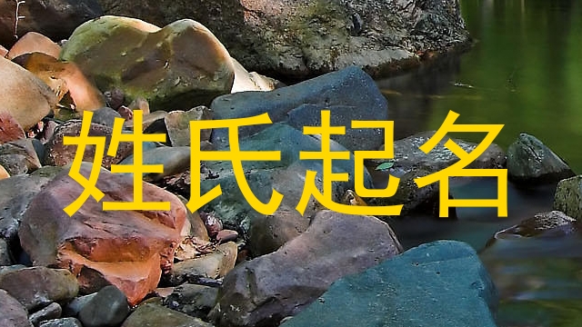姓氏起名