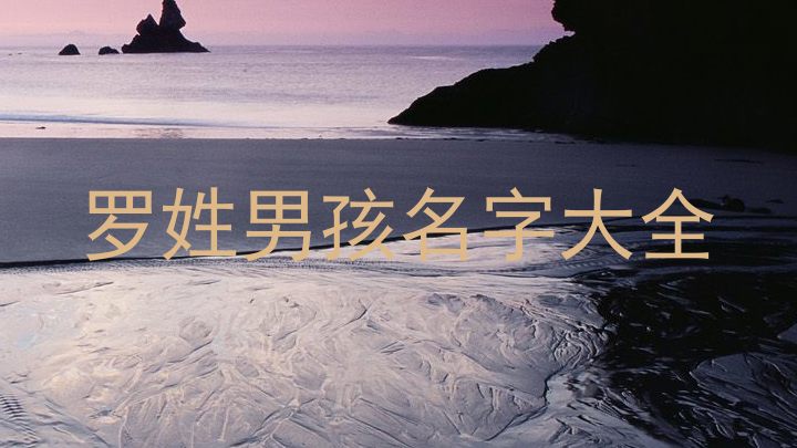 罗姓男孩名字大全