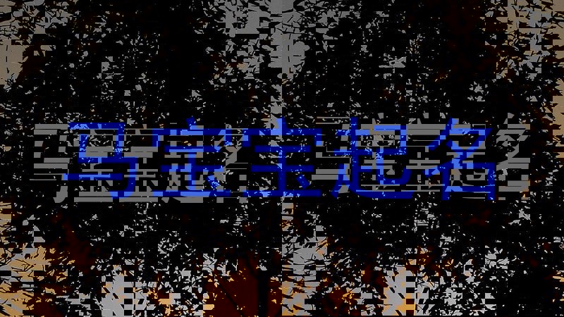 马年