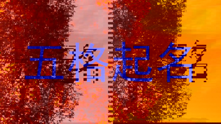 五格取名法