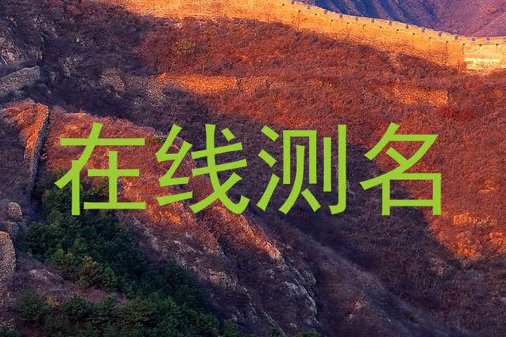 在线测名