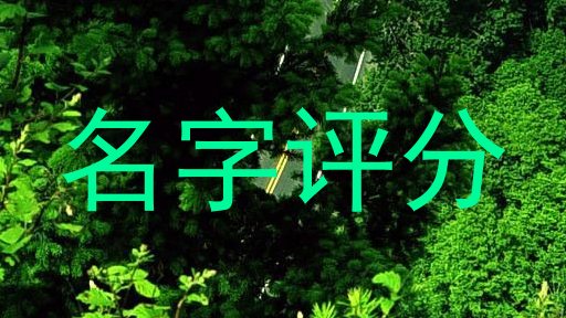 起名测试