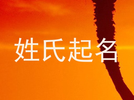 姓氏起名