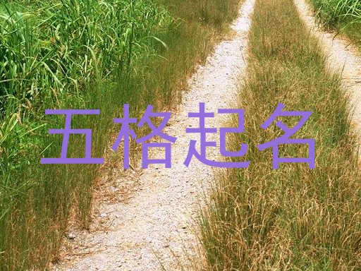 五格取名