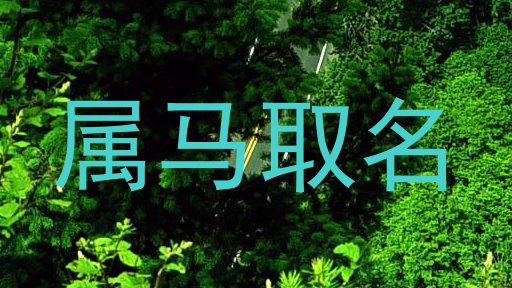 属马取名