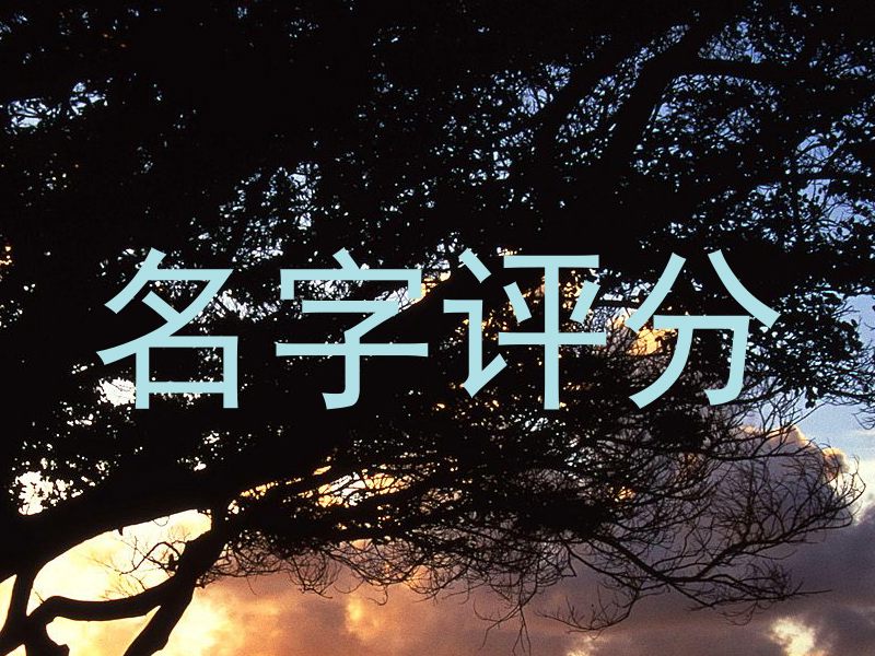 在线测名