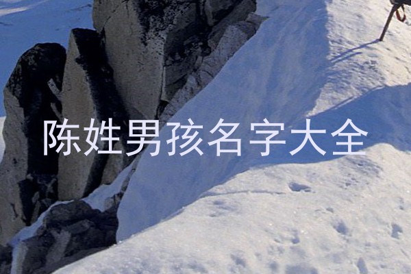 陈姓男孩名字大全