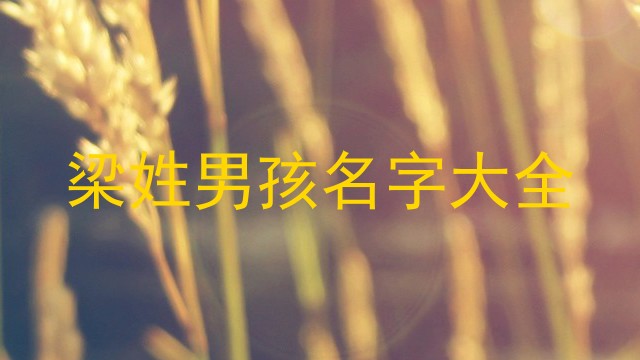 梁姓男孩名字大全