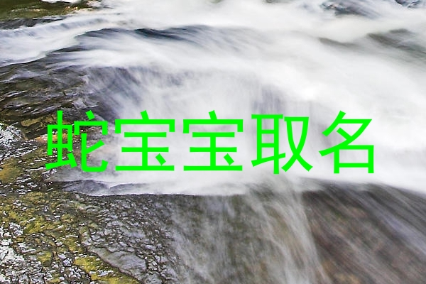 蛇宝宝取名