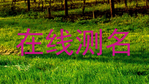 在线测名