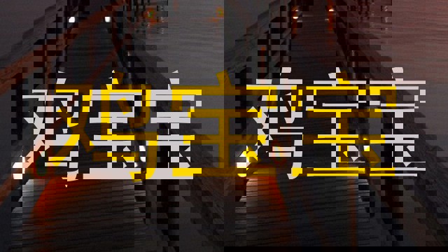 鸡宝宝