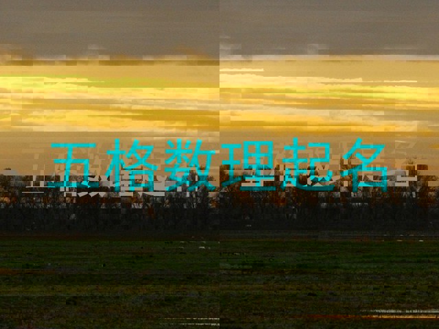 五格数理起名