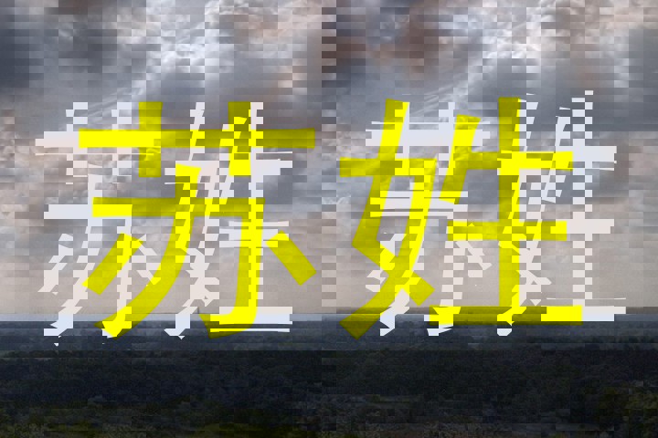 苏姓
