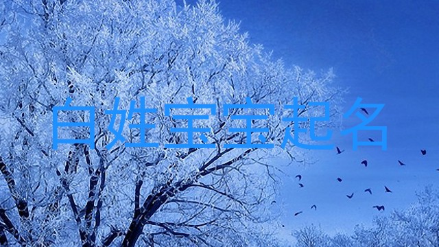 白姓宝宝起名