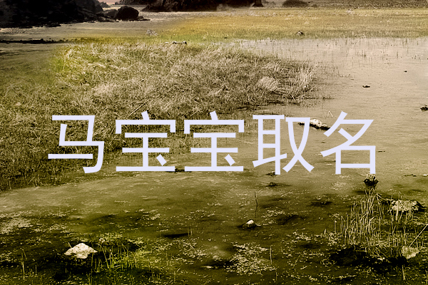 马宝宝取名