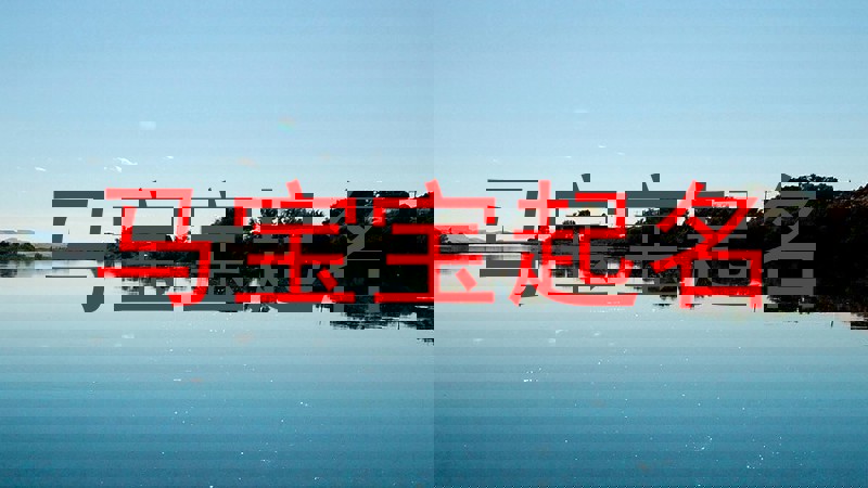 马宝宝起名