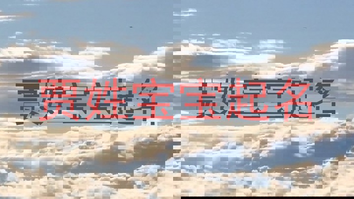 贾姓宝宝起名