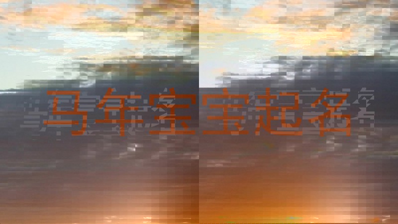 马年宝宝起名