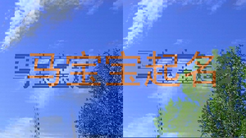 马宝宝取名