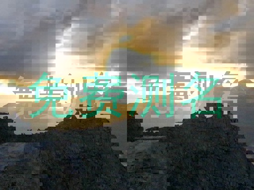 免费测名