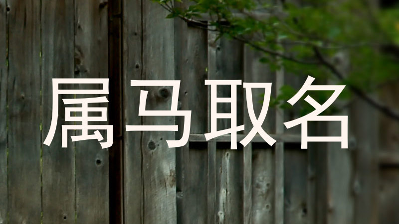 属马取名
