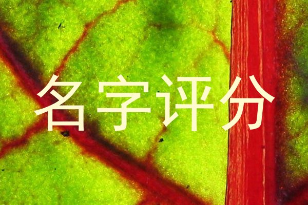 名字评分