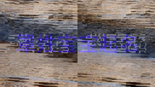 罩姓宝宝起名