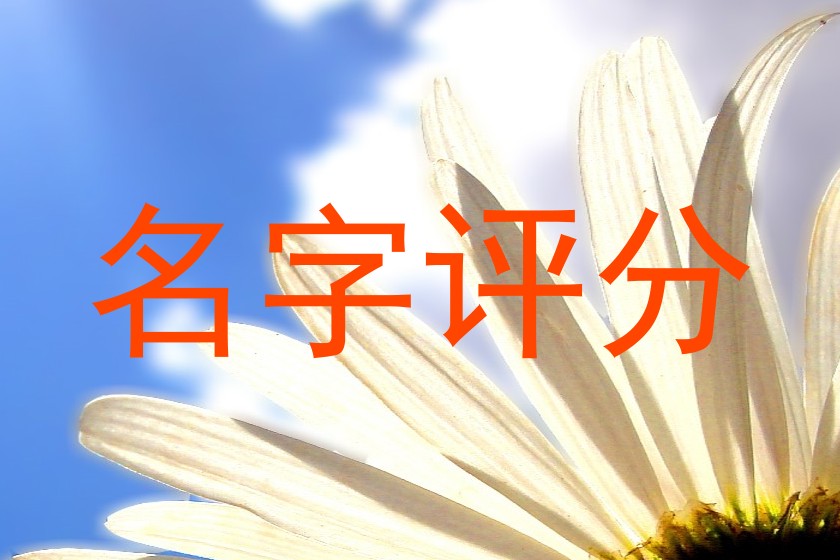 名字评分