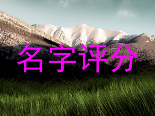 名字评分