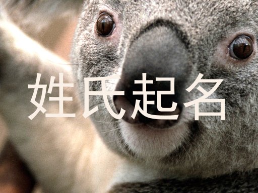 姓氏起名