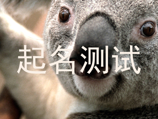起名测试