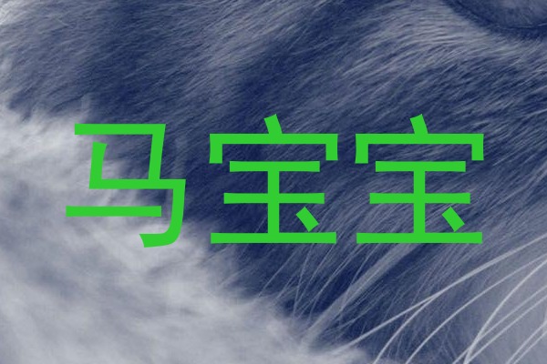 马宝宝