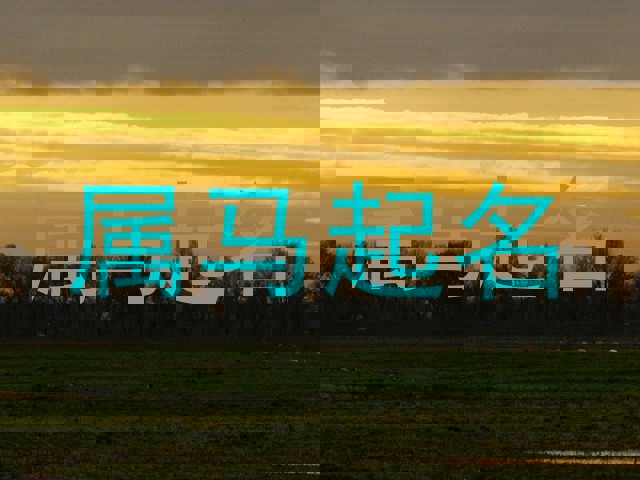 属马起名