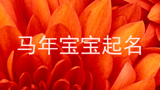 马年宝宝起名