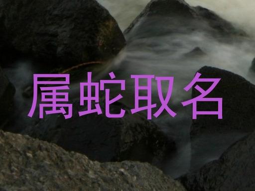 属蛇取名