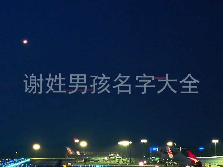 谢姓男孩名字大全
