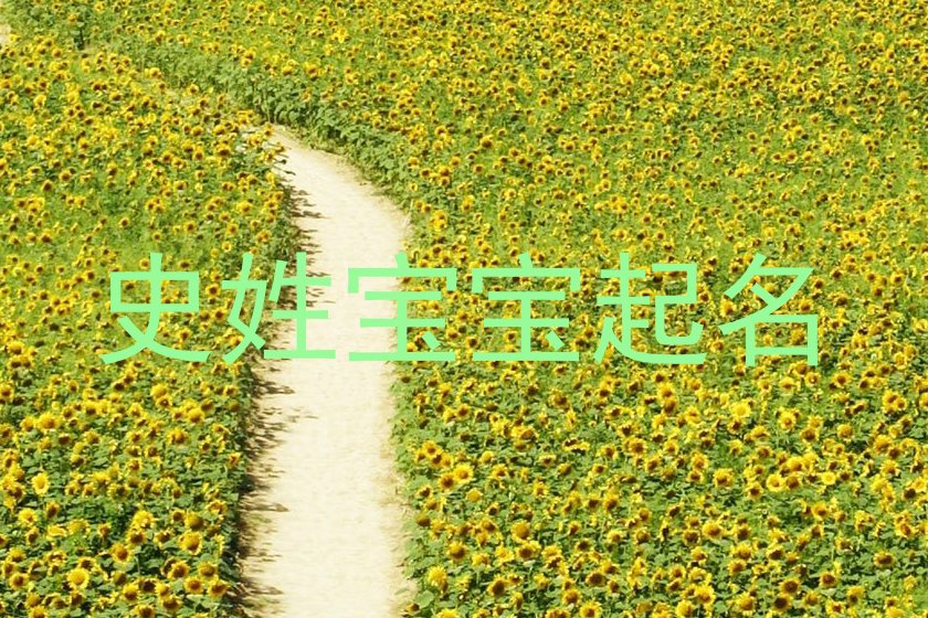史姓宝宝起名