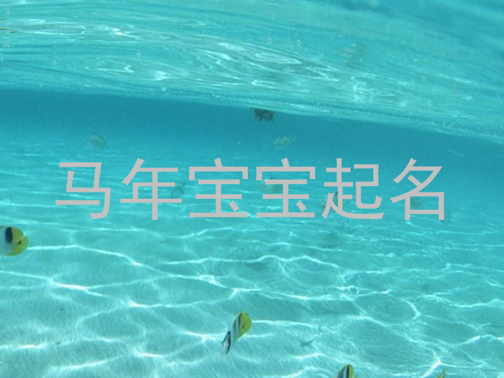 马年宝宝起名