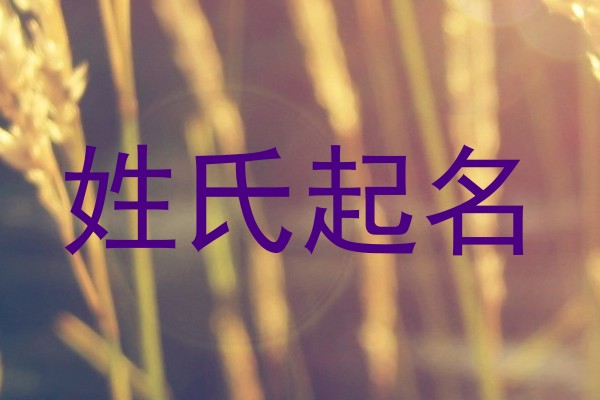 姓氏起名