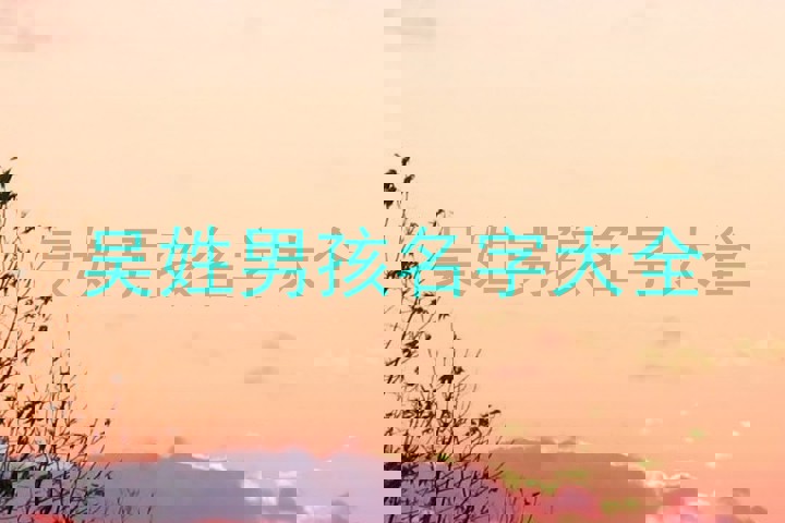 吴姓男孩名字大全