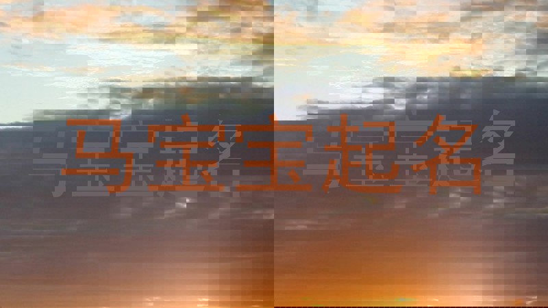 马宝宝起名
