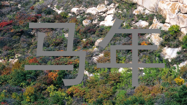 马年