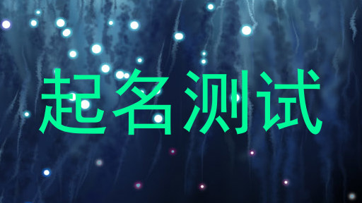 起名测试