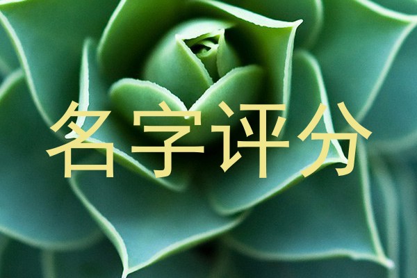 名字评分