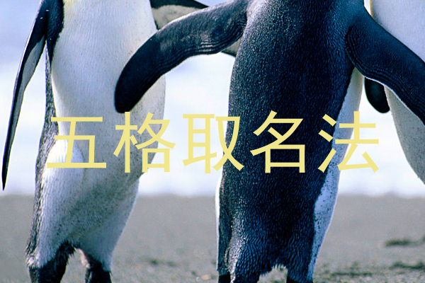 五格取名法