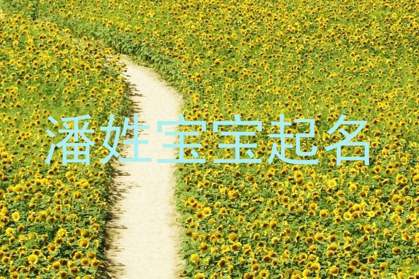 潘姓宝宝起名